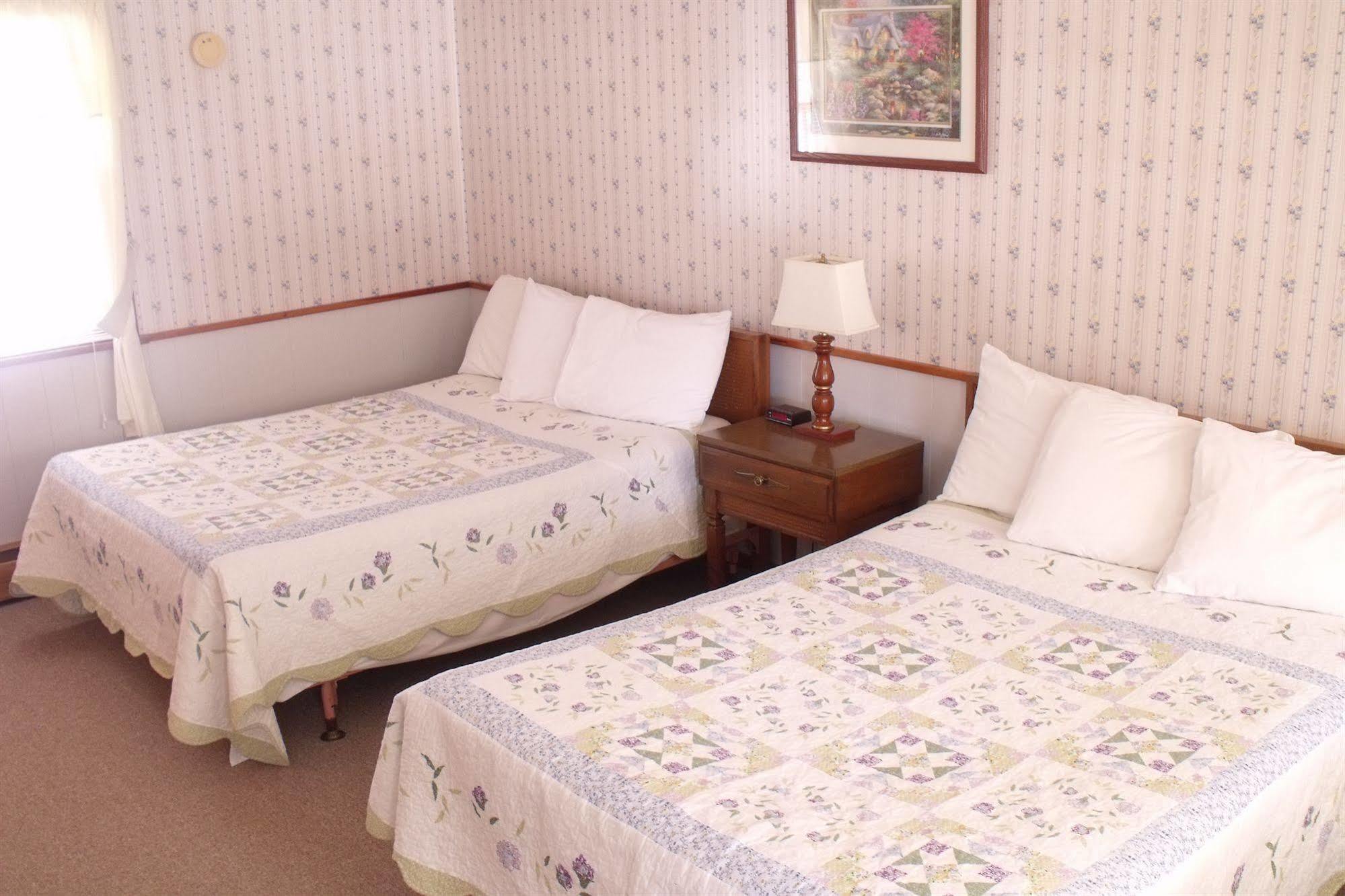 Starlight Lodge 노스콘웨이 외부 사진